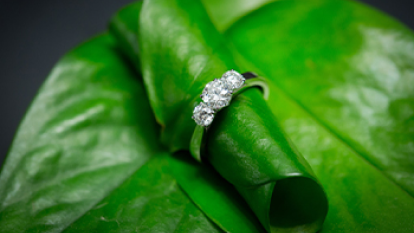 <p>可持续发展</p>
