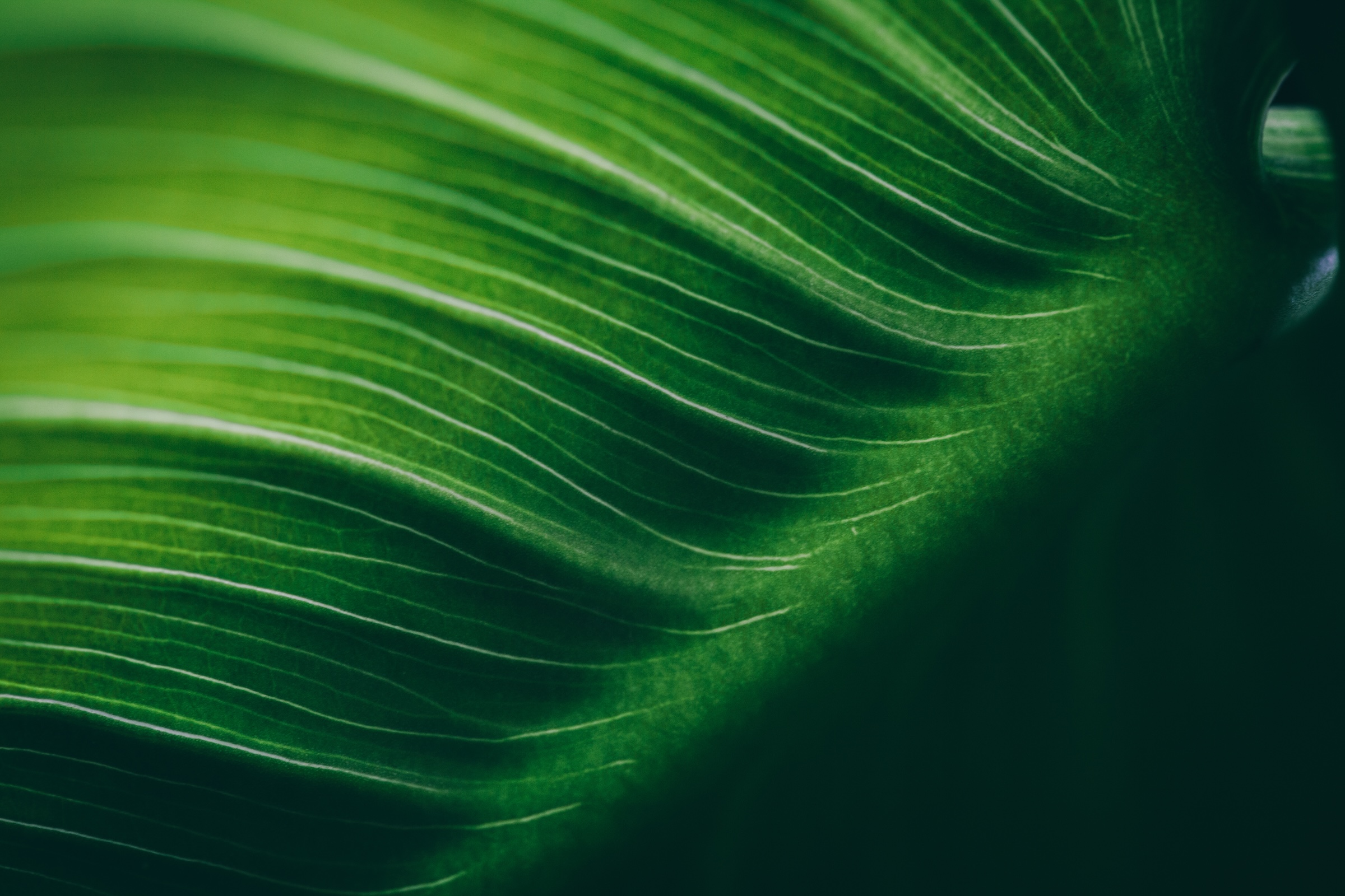 ENVIRONMENT