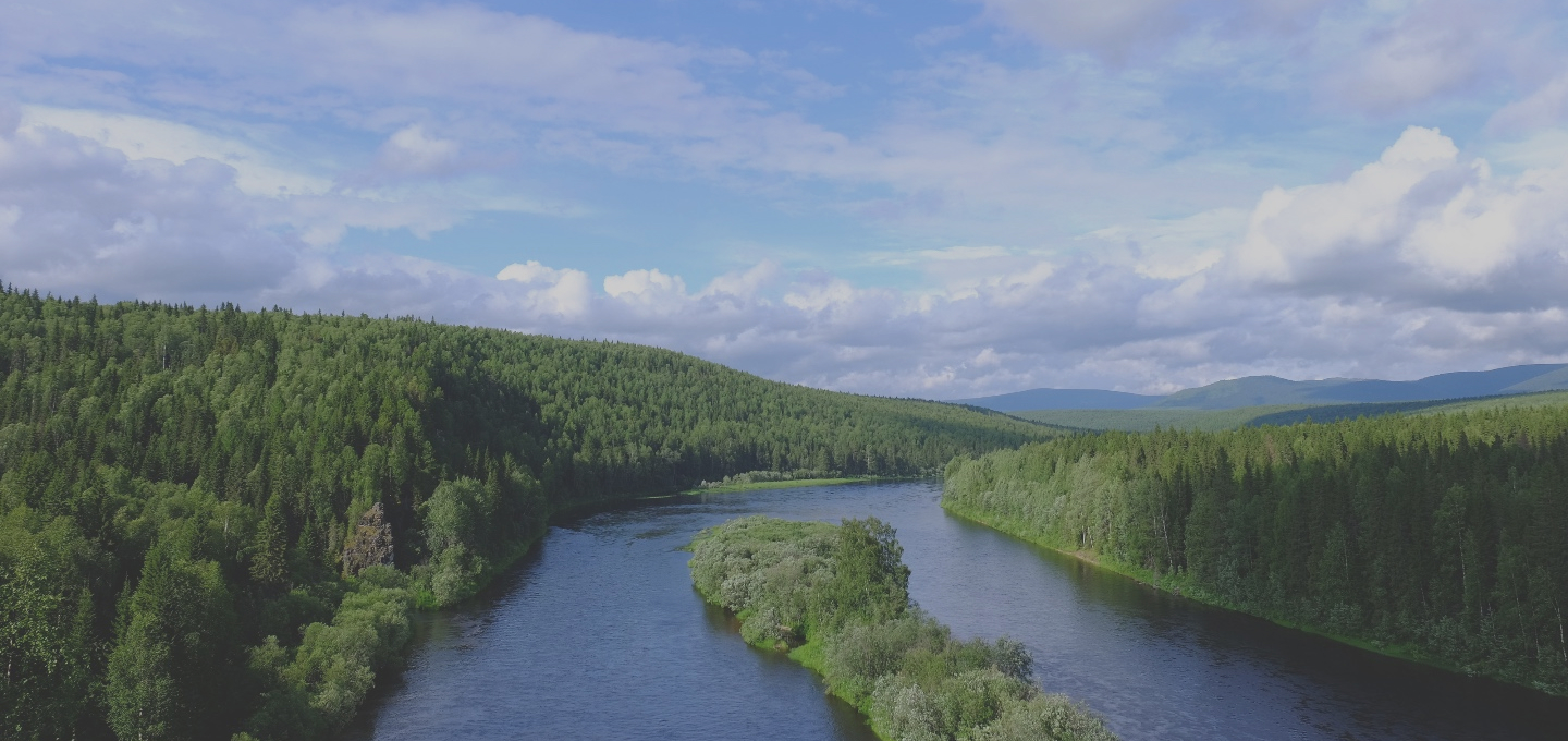<p>SUSTAINABILITY GOVERNANCE</p>
