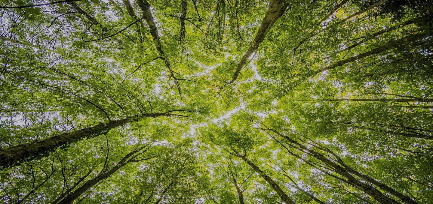<p>SUSTAINABILITY REPORTS</p>
