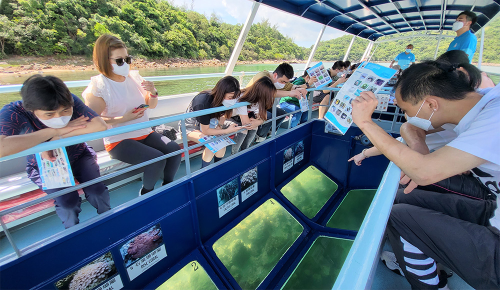 <p>Mai Po Nature Reserve – Mangrove Boardwalk Tour</p>
